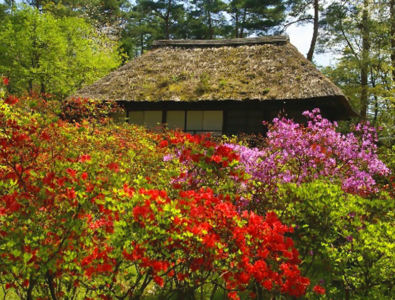 Fukushima City Minka-en Open-Air Museum